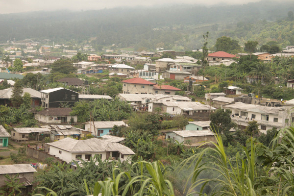 Buea: A Blend of Nature and Innovation